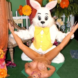 Kelly Madison in 'Porn Fidelity' Bunny Fucker (Thumbnail 13)